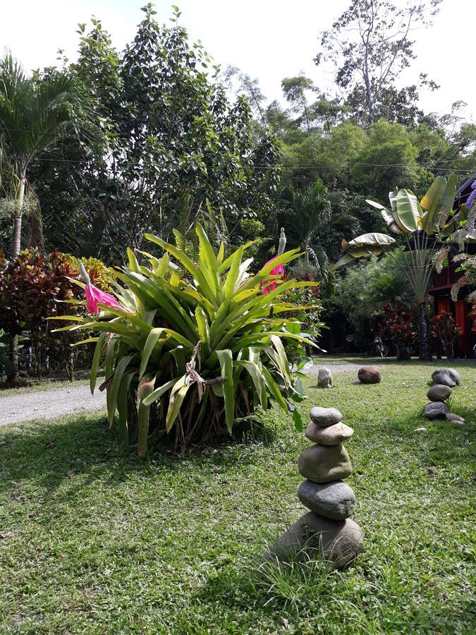 קאוויטה Cabinas Nirvana Ecolodge מראה חיצוני תמונה