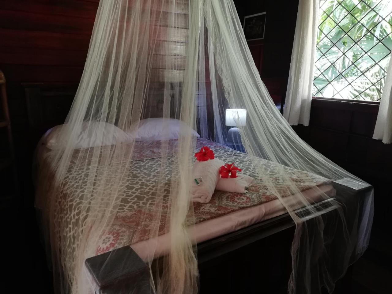 קאוויטה Cabinas Nirvana Ecolodge מראה חיצוני תמונה