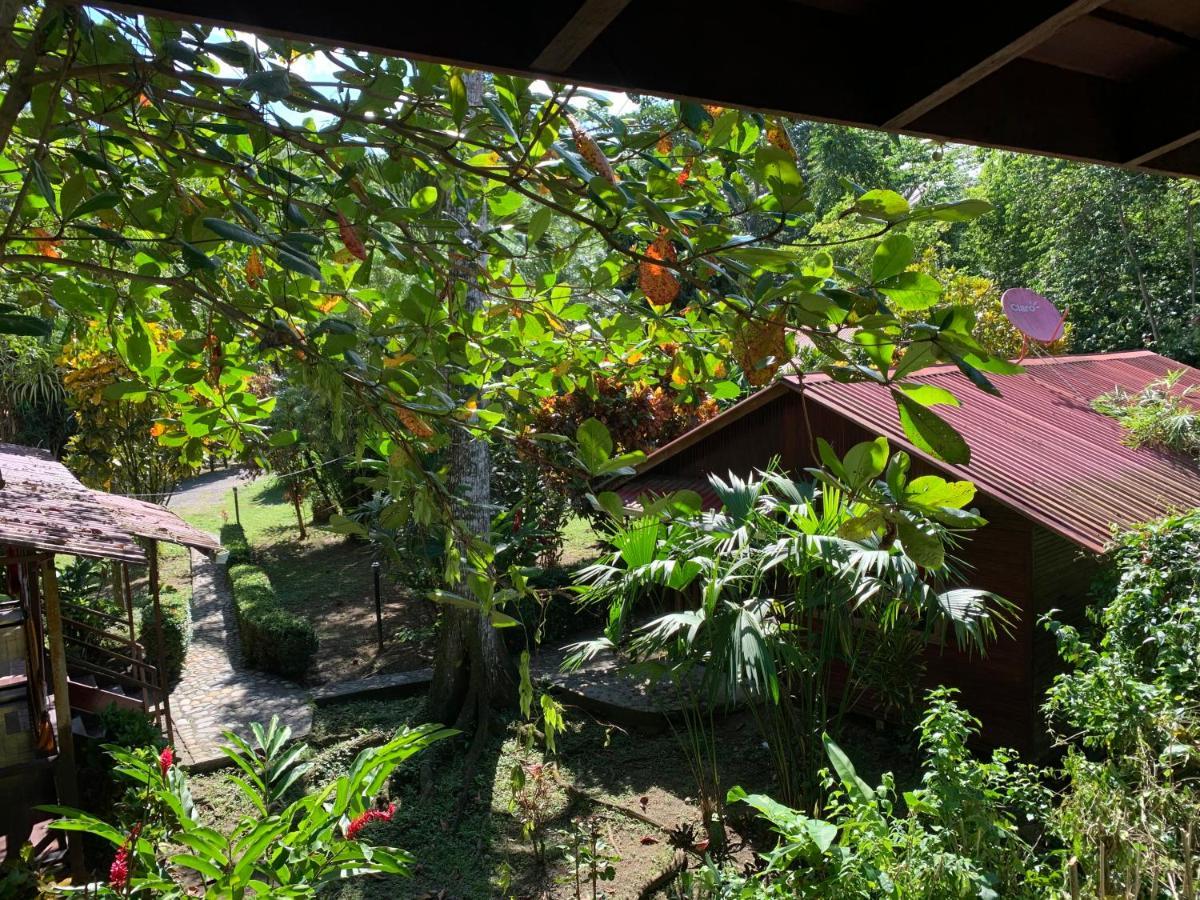 קאוויטה Cabinas Nirvana Ecolodge מראה חיצוני תמונה
