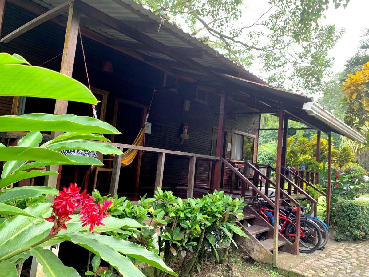 קאוויטה Cabinas Nirvana Ecolodge מראה חיצוני תמונה